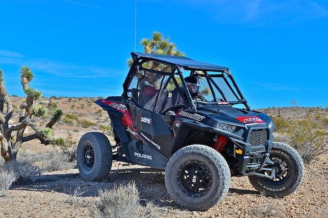 Mojave Desert Off Road RZR Tour in Las Vegas - Final Thoughts