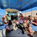 Molat Island Dolphin Watching Boat Tour 6hours TOUR - Dolphin Watching: Success Rate and Tips