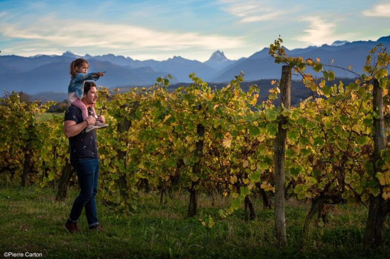 monein-suspicion-in-jurancon