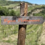 Montalcino: Molino Winery Tour & Wine Tasting - Discovering the Heart of Tuscany: The Molino di Sant’Antimo Winery