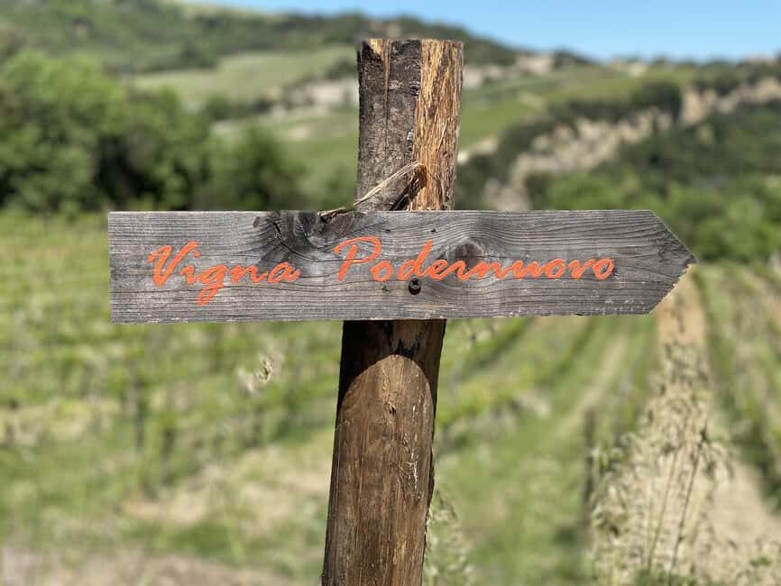 Montalcino: Molino Winery Tour & Wine Tasting - Discovering the Heart of Tuscany: The Molino di Sant’Antimo Winery