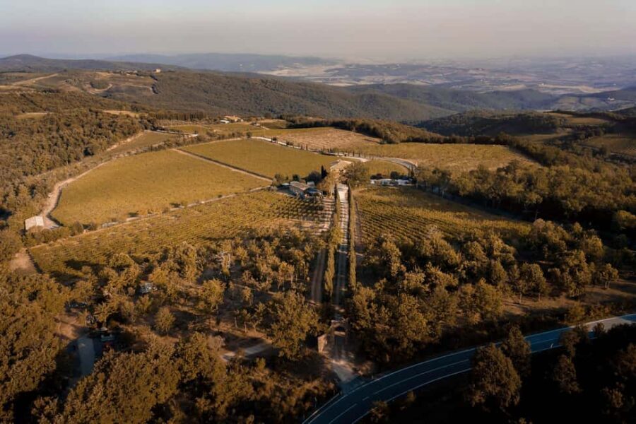Montalcino: Vertical Tasting - Final Thoughts