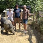 Montepulciano: Pig Farm Tour with Traditional Lunch - An Introduction to a Real Tuscan Working Farm