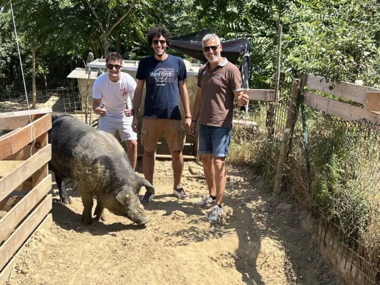 Montepulciano: Pig Farm Tour with Traditional Lunch - An Introduction to a Real Tuscan Working Farm