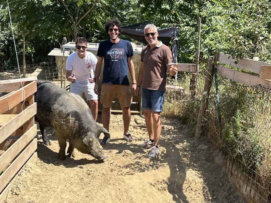 Montepulciano: Pig Farm Tour with Traditional Lunch - An Introduction to a Real Tuscan Working Farm