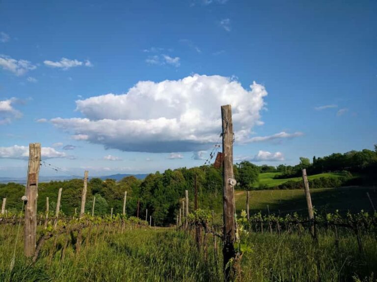 MONTEPULCIANO TASTE OF TUSCANY HEROIC WINES, CRU&LIMITED ED. - FAQs