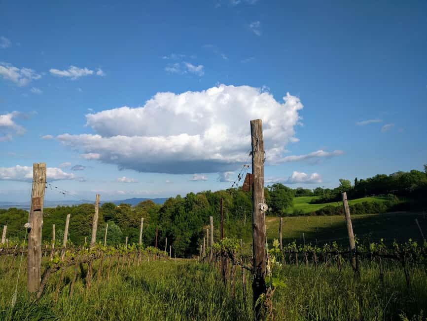 MONTEPULCIANO TASTE OF TUSCANY HEROIC WINES, CRU&LIMITED ED. - FAQs