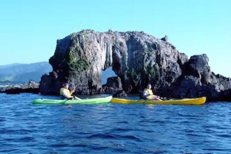 Monterey: Pebble Beach Kayak Tour - Who Is This Tour Best For?