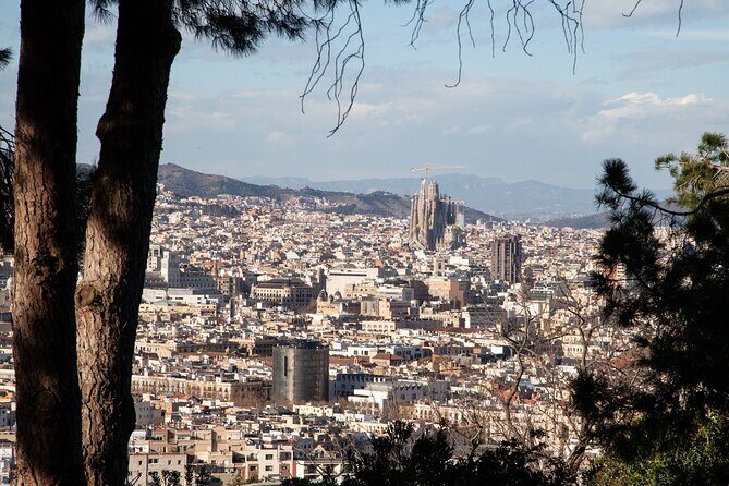 Montjuïc Walking Tour With Optional Flamenco Show - Who Will Enjoy This Tour?