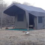 Moremi Hippo Mobile tented safari - Logistics, Comfort, and Practical Tips