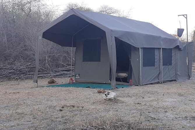 Moremi Hippo Mobile tented safari - Logistics, Comfort, and Practical Tips