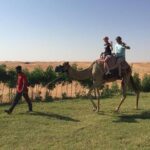 Morning Camel Trekking Over the Red Sand Dunes - The Experience in Detail