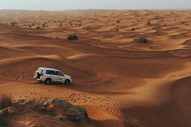 Morning Desert Safari - Final Thoughts: Is This Tour Worth It?