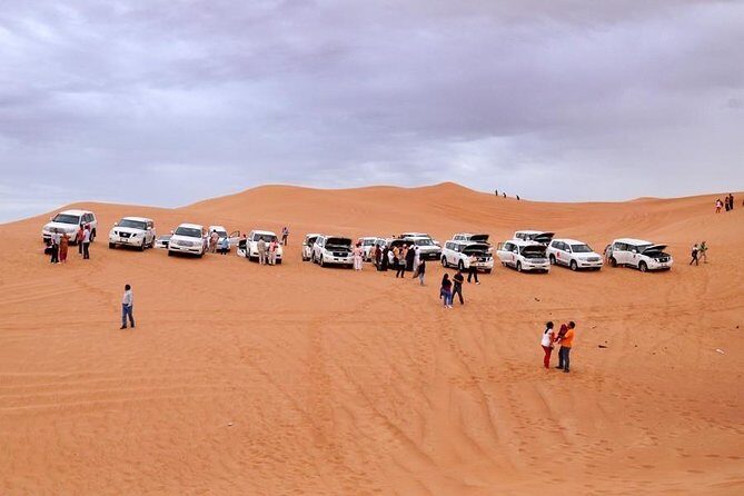 Morning Desert Safari - Final thoughts