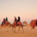 Morning Desert Safari Abu Dhabi with Camel Ride - Why This Tour Provides Great Value
