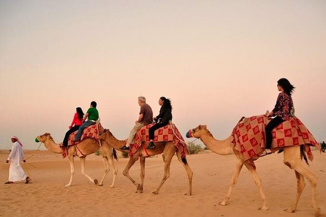 Morning Desert Safari Abu Dhabi with Camel Ride - Why This Tour Provides Great Value