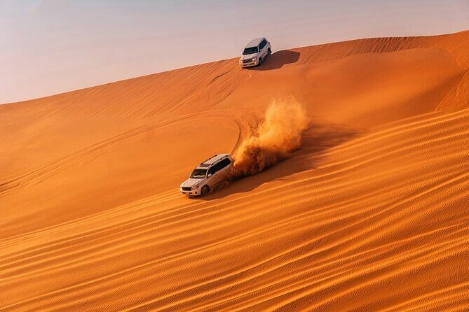 Morning Desert Safari Adventure in Abu Dhabi - What’s Included and How It Adds Value
