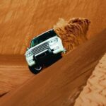 Morning Desert Safari Dubai with Dune Bashing and Sand Boarding - Authentic Experiences & Insights from Reviewers