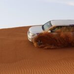 Morning Desert Safari: Dune Bashing & Camel Ride Experience - Authentic Experiences & Tips from Reviewers