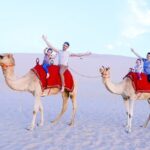 Morning Desert Safari From Abu Dhabi - Who Is This Tour Best For?