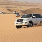 Morning Desert Safari in 4x4 Shared Vehicle - What’s Included and What’s Not