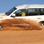 Morning Desert Safari in Dubai Private vehicle - The Experience in Practice: What Travelers Say