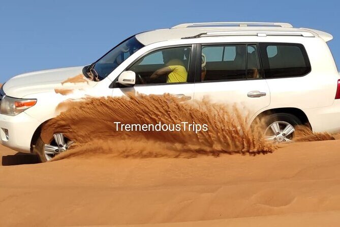 Morning Desert Safari in Dubai Private vehicle - The Experience in Practice: What Travelers Say