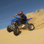 Morning Desert Safari plus Quad Bike, Sandboard and Camel ride - Authenticity and Comfort: What Travelers Say