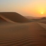 Morning Desert Safari Tour With Dune Bashing At Lahbab Desert. - Why This Tour Offers Great Value