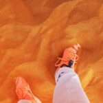 Morning Desert Safari with 4x4 Dune bashing, Camel Ride and Sandboarding - Pricing & Value