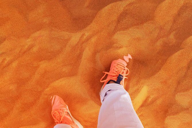 Morning Desert Safari with 4x4 Dune bashing, Camel Ride and Sandboarding - Pricing & Value