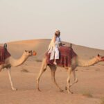 Morning Desert Safari With Buggy Ride and Sandboarding in Dubai - What’s Not Included and Tips for Travelers