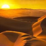 Morning Desert Safari with Camel Ride & Sand Skiing Private Tours - Exploring the Key Stops