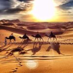 Morning Desert Safari with Sand Boarding and Dune bashing - What Makes This Tour Stand Out?