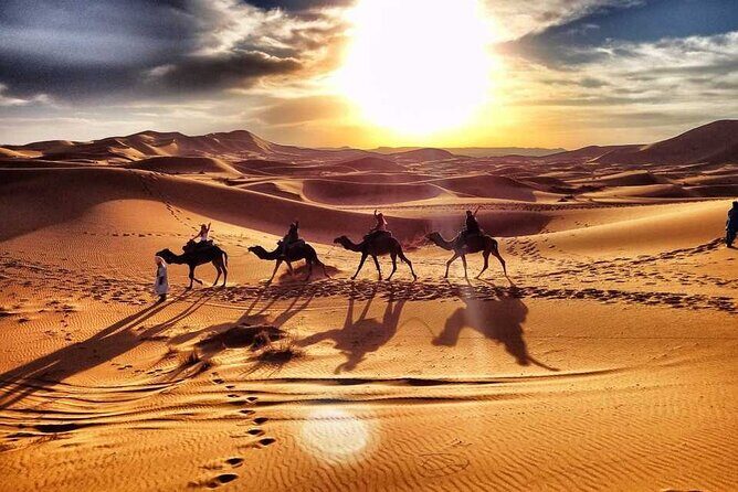 Morning Desert Safari with Sand Boarding and Dune bashing - What Makes This Tour Stand Out?