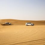 Morning Desert Safari with Sand boarding & Camel RideTour - Detailed Breakdown of the Itinerary