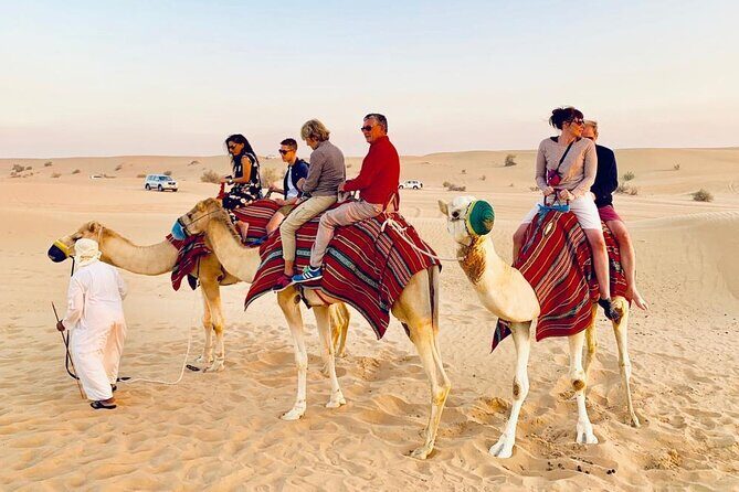 Morning Dune Bashing with Camel Trekking and sand boarding - The Itinerary Breakdown