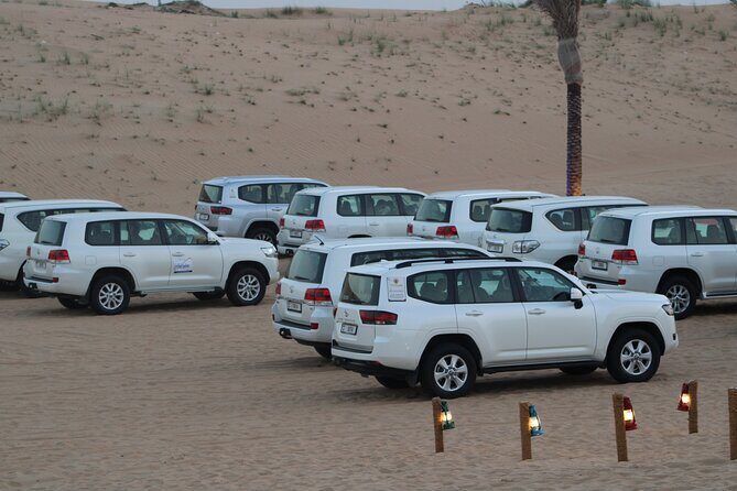 Morning Dune Drive with Sandboarding and Camel Ride - Authenticity and Guide Experience