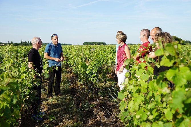 Morning - Loire Valley Wine Tour & Food Pairing, Vouvray - Authenticity and Authentic Experiences