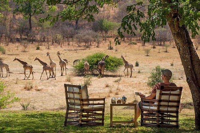 Morning or Afternoon Game Drive In Victoria Falls - Authentic Experiences from Reviewers