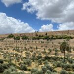 Morning Private Tour to Discover Jerusalem - Why the Tour Delivers Value