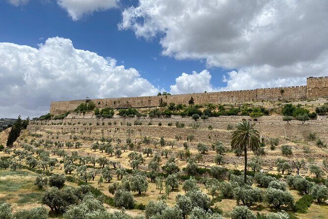 Morning Private Tour to Discover Jerusalem - Why the Tour Delivers Value