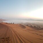 Morning Red Dune Desert Safari in Dubai with Camel Ride and Sand Boarding - The Value of the Experience