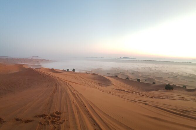Morning Red Dune Desert Safari in Dubai with Camel Ride and Sand Boarding - The Value of the Experience
