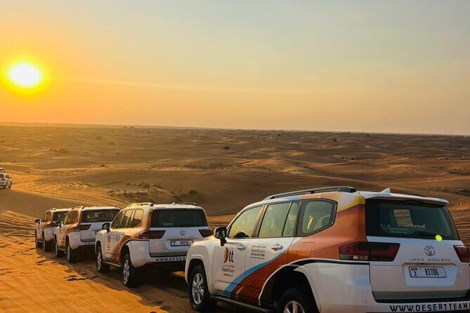 Morning Safari (Private Car) - Practical Tips for Your Desert Safari