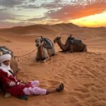 Morocco 10 Days Tour from Casablanca - The Experience: What You’ll Love