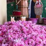 Morocco 11 Days Tour from Casablanca via Sahara Desert - Transportation & Accommodation