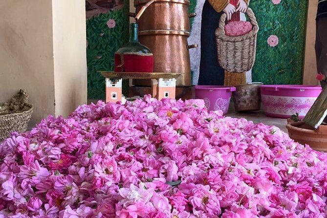 Morocco 11 Days Tour from Casablanca via Sahara Desert - Transportation & Accommodation