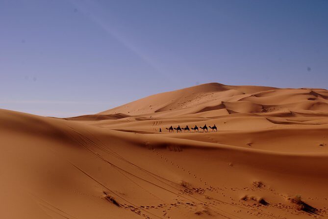 Morocco Desert Tour 8 Days Desert tour from Tangier to Marrakech - Who Will Love This Tour?