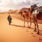 Morocco Desert Tour Private 4-Days from Marrakech to Merzouga - Who Is This Tour Best Suited For?